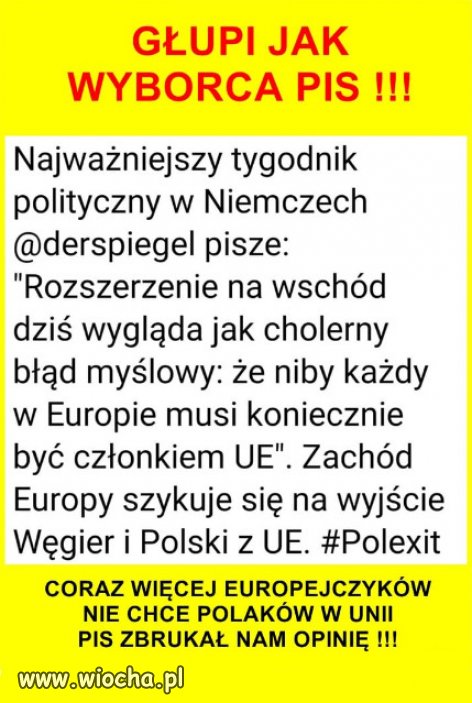 Dziś Polska PiSu, nie została by przyjęta do UE...