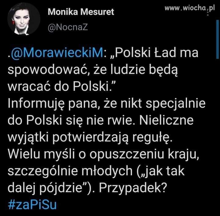 Polski ład? 