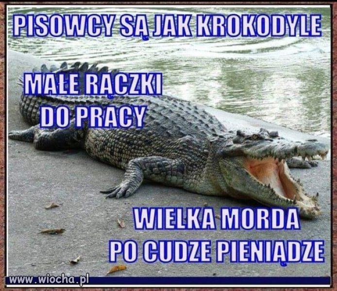 Takie małe porównanie