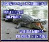Takie małe porównanie