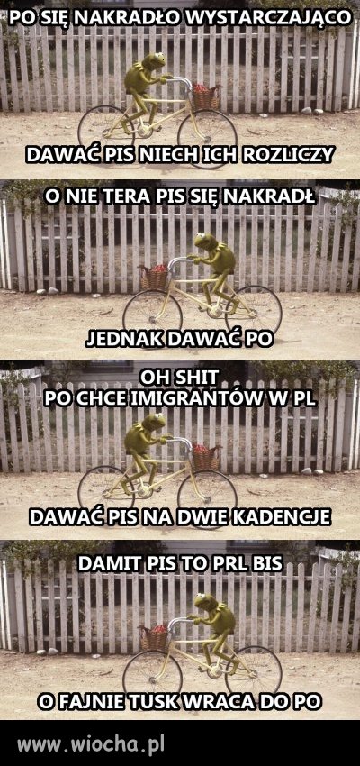 Tak to widzę