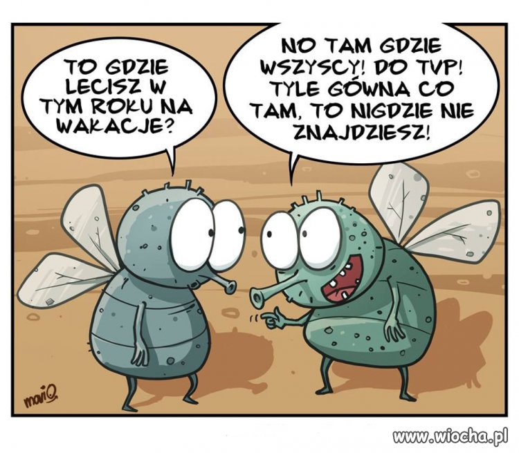 Tam jest największe ...