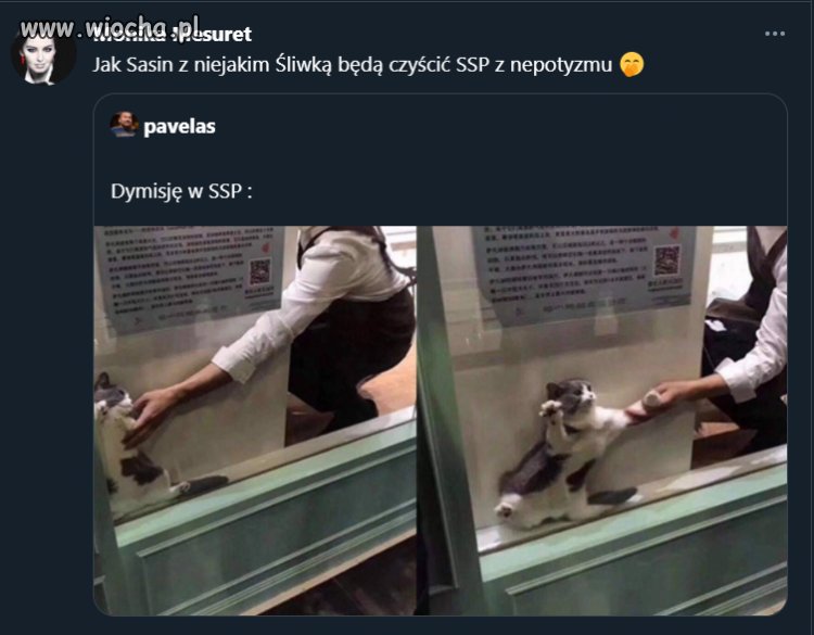Jak Sasin z niejakim Śliwką będą czyścić SSP z nepotyzmu