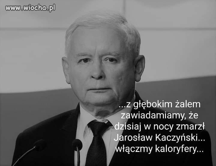 Kaczka zamarzła