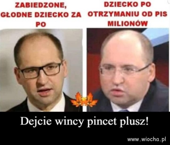 Za PO nie było tłustych kotów 