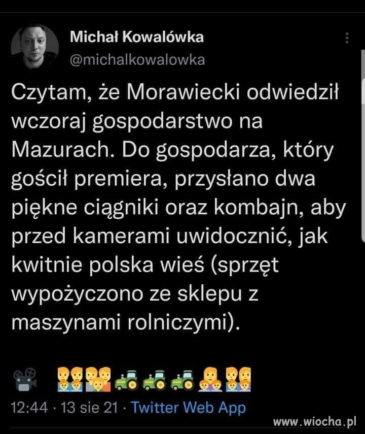 Trawę też malowano na zielono 