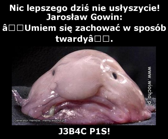 Nic lepszego dziś nie usłyszycie!