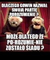Wyjaśnione 