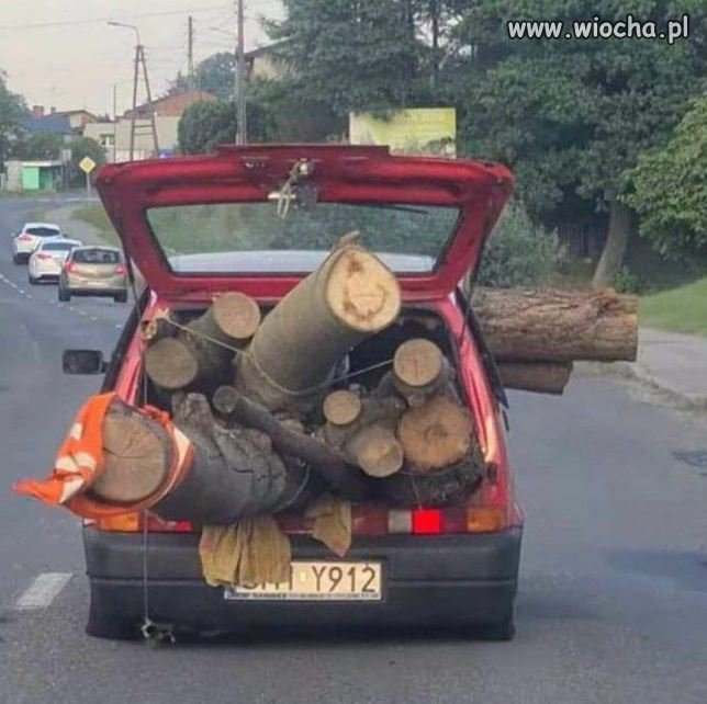 -Nie wsadzisz całego lasu do cinquecento !