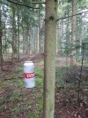 Jakoniwieszają