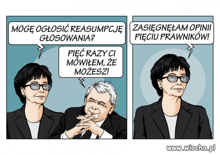 Pięć opinii 