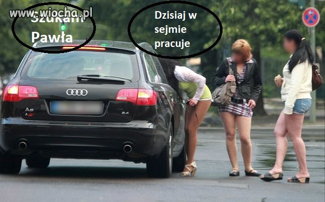 W poszukiwaniu uczciwego Pawła patrioty