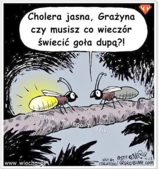 Trochę humoru w tym smutnym kraju 