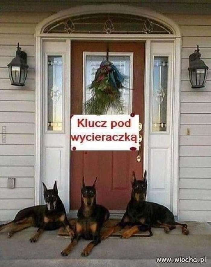 No! Czemu nie wchodzisz?