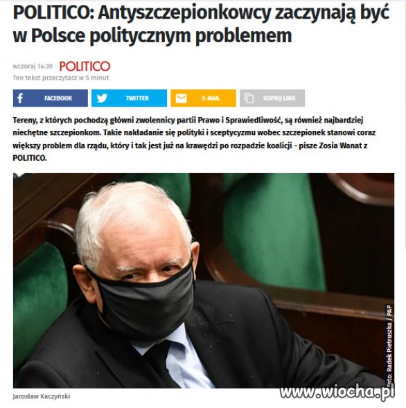 Zacofanie elektoratu PiSu, problemem politycznym 