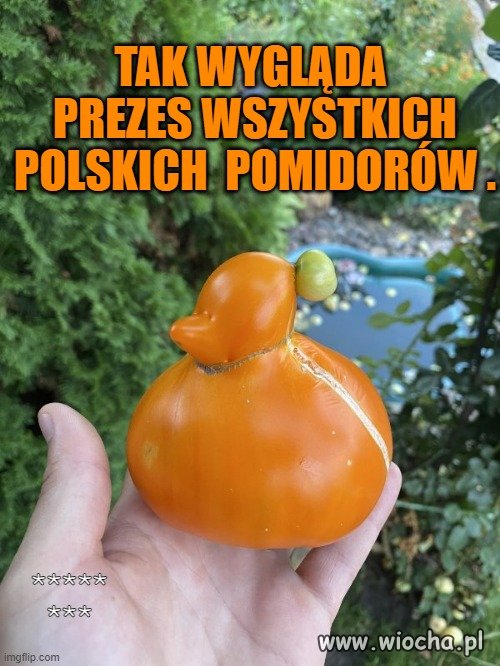 Z życia działkowca