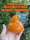 Z życia działkowca