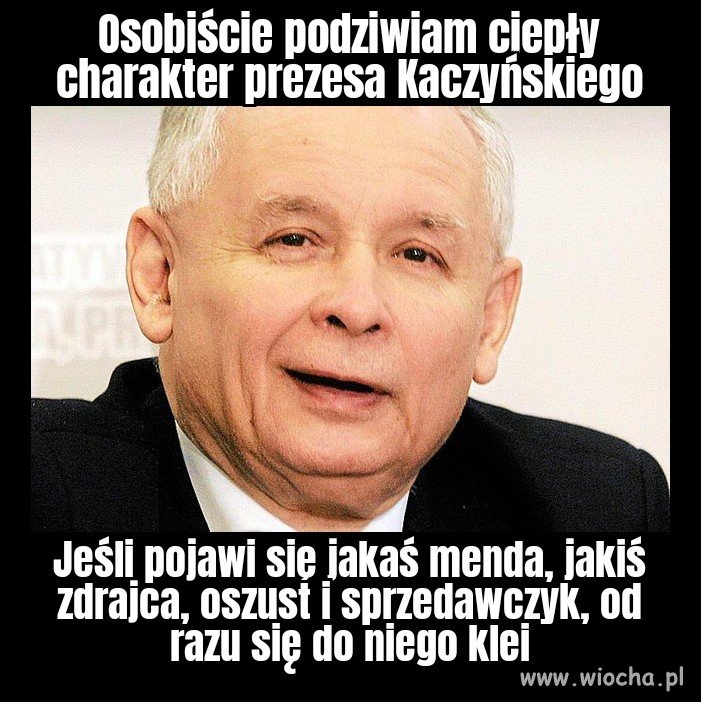 Wzór cnót