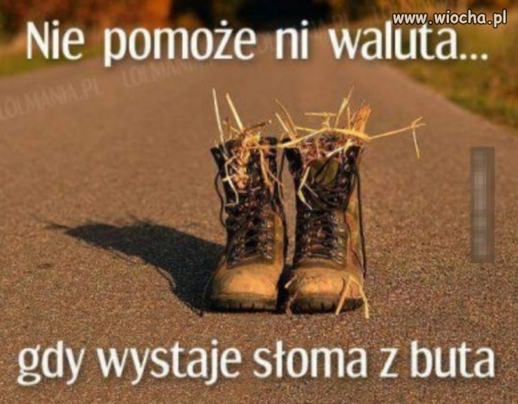 Tylko to tu zostawię