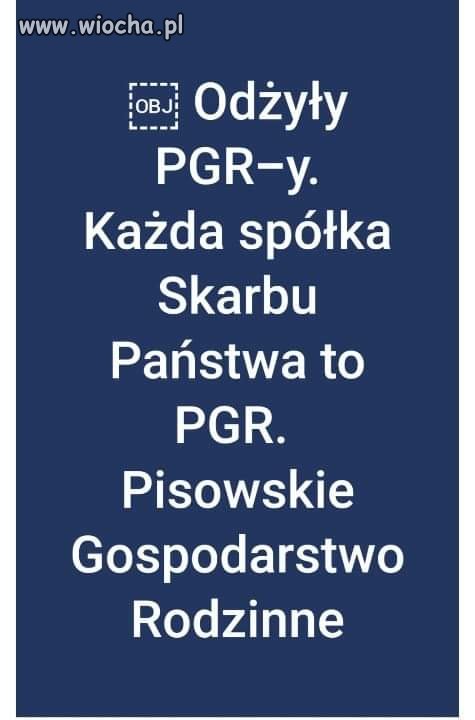 Zdecydowanie 