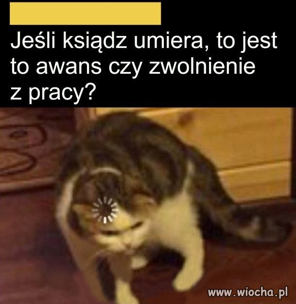 Humor na niedzielę 