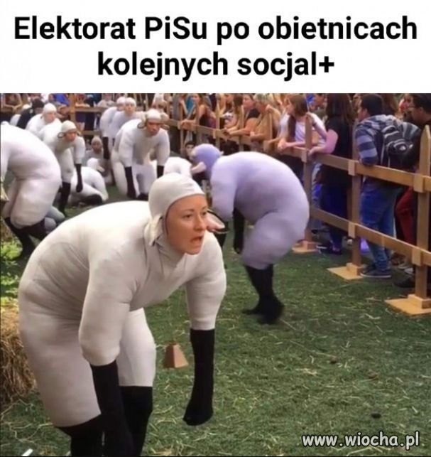 Znalezione w internecie