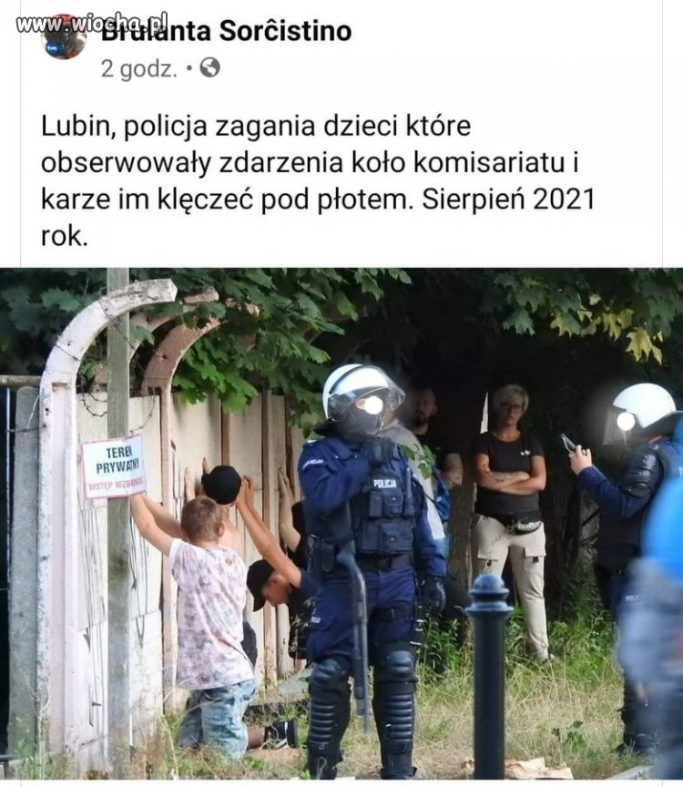 Zbrojne ramię partii