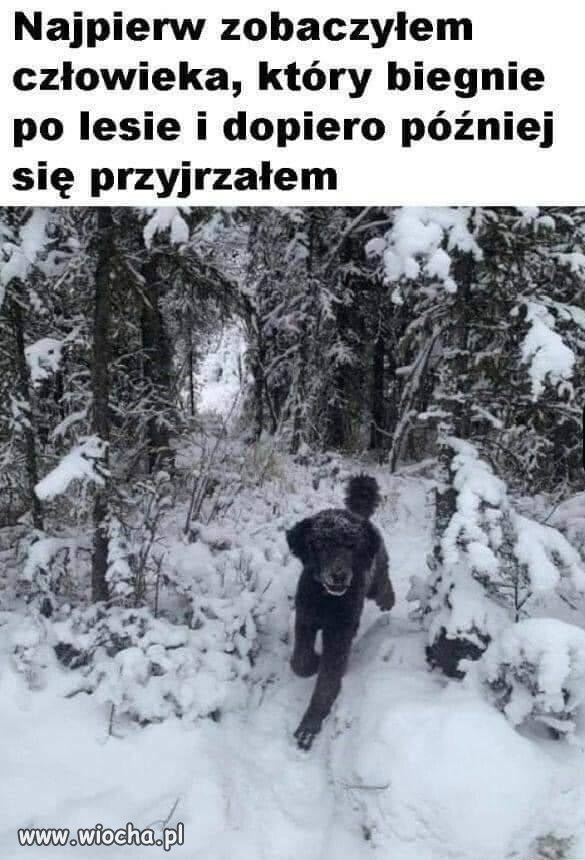Się narobiło