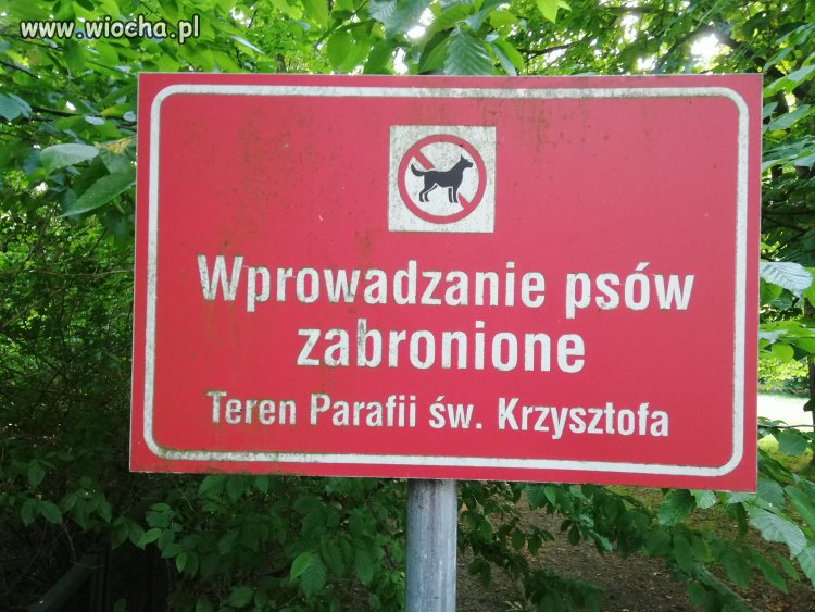 Nie dla psa parafia...