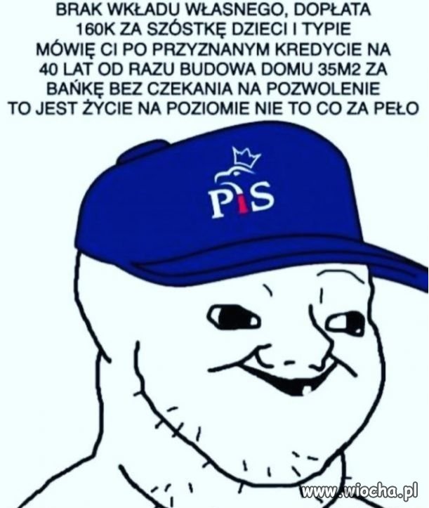 Taka wrzutka polityczna