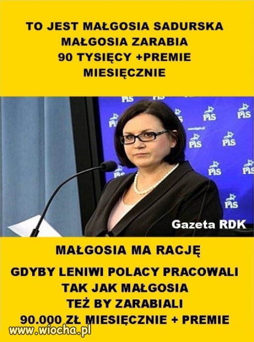 Nic dziwnego ze Niemcy zazdroszcza PiSowi zarobkow
