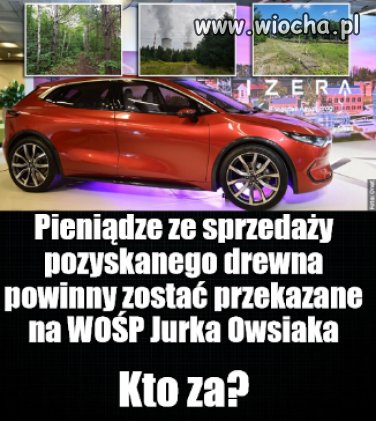 Jak już rżną las, to kasa dla Polaków