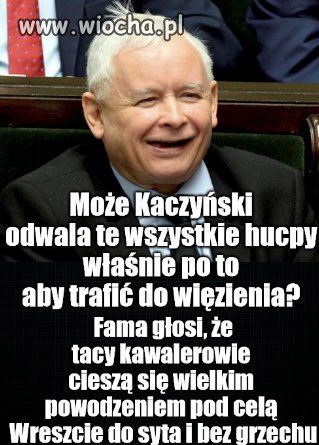 Ach, te basałyki z PIS-u