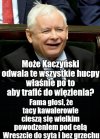 Ach, te basałyki z PIS-u