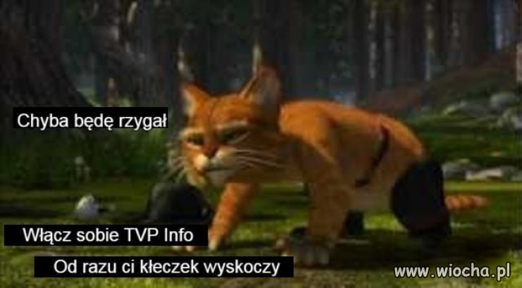 TVP info, dobre na wszystko 