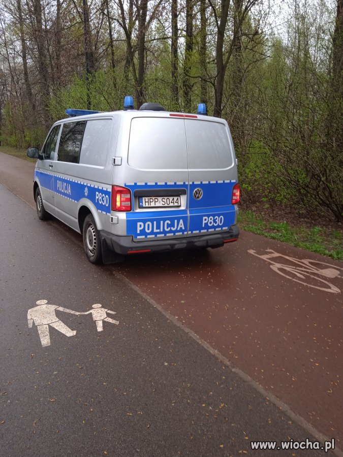 Zmotoryzowany