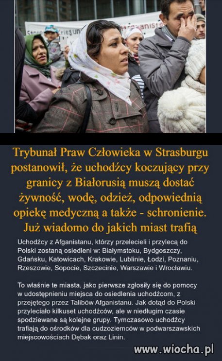 PiS ma wprowadzić wyrok natychmiast!