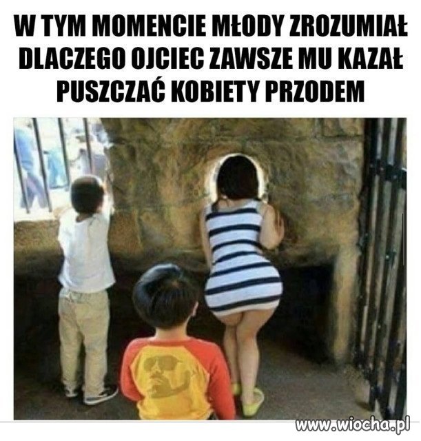 Młody zrozumiał