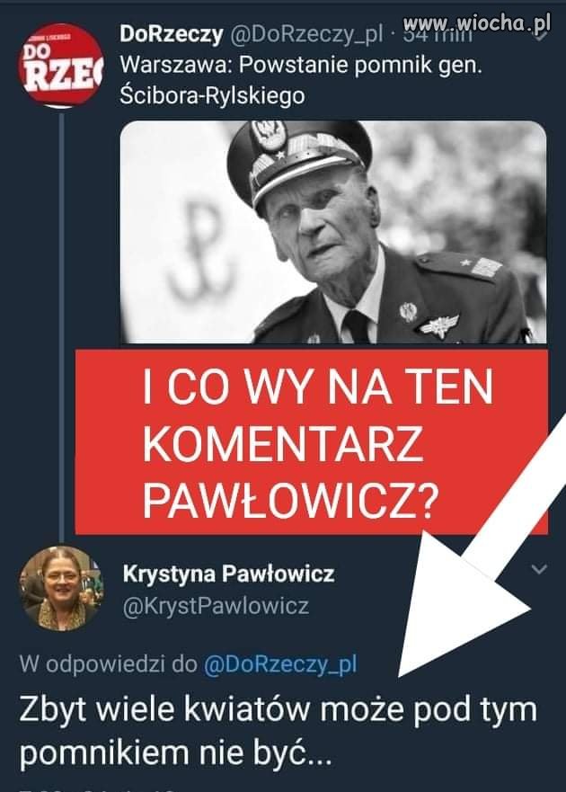 Szkoda słów 