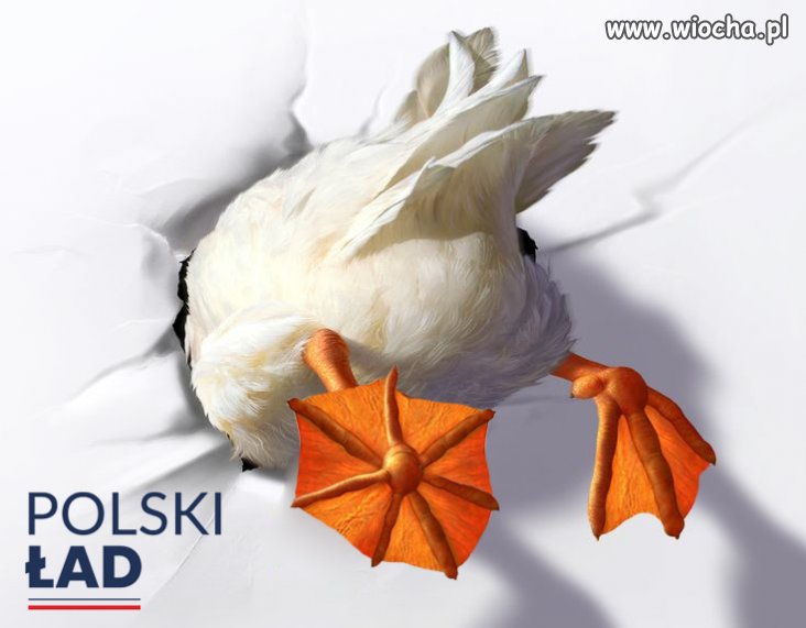 Polski Ład