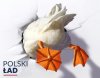 Polski Ład