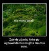 Dzisiejsze rządy