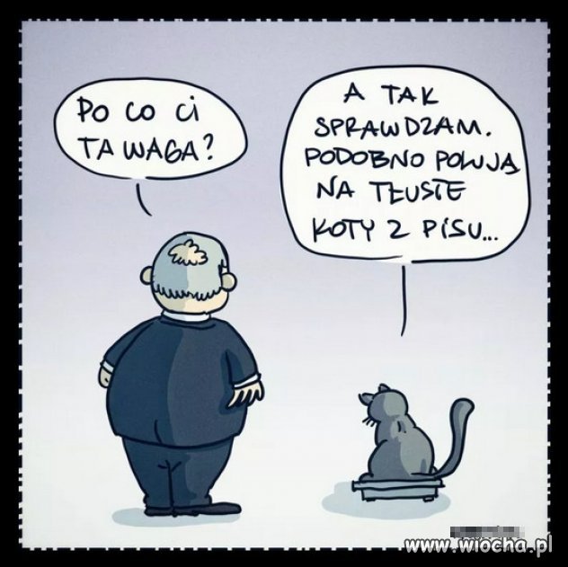 Polowanie na tłuste koty PiSu...