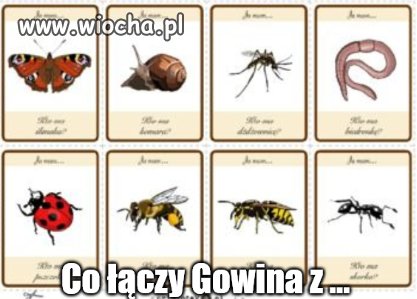 Zagadka