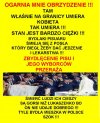 Kaczyński: brońmy wartości chrześcijańskich ...
