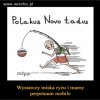 Polakus Nowo  Ładus...