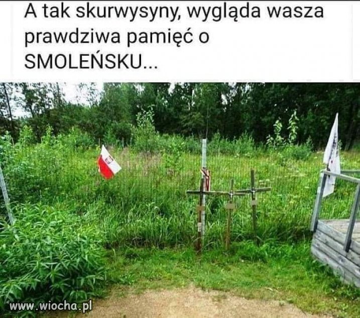 Hipokryzja, obłuda, cynizm i zakłamanie.