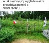 Hipokryzja, obłuda, cynizm i zakłamanie.