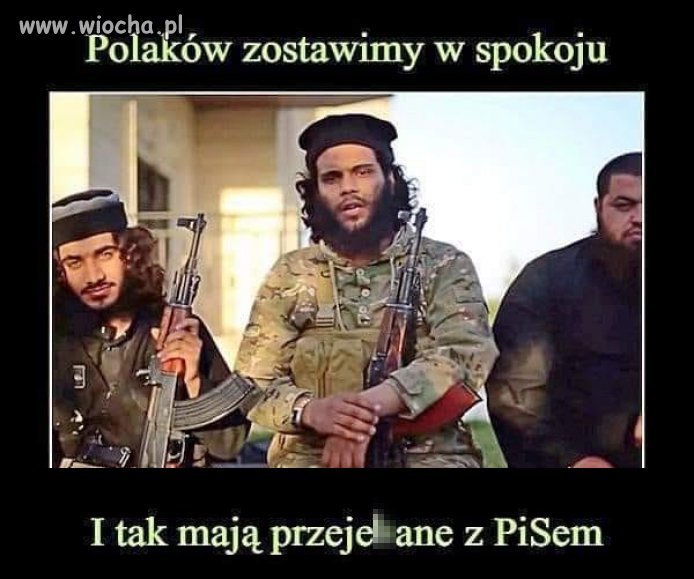 Chyba mają rozeznanie