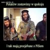 Chyba mają rozeznanie
